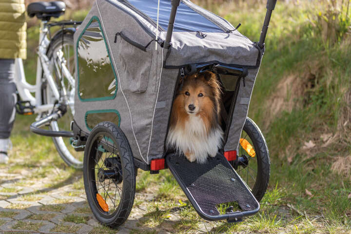 TRIXIE Fahrradanhänger mit Rampe